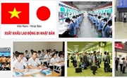 Đơn hàng đi làm tại Nhật Bản - Đào tạo tại tỉnh Sơn La